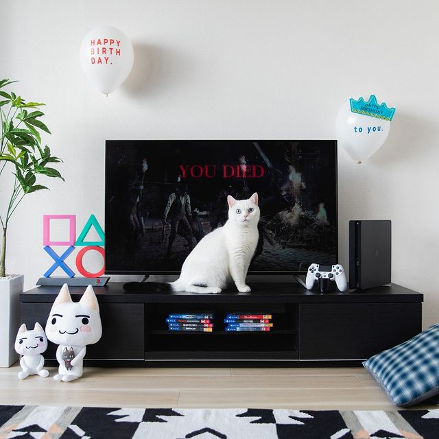 Foto de la cuenta de Instagram de PlayStation Japón con un bonito gato blanco.